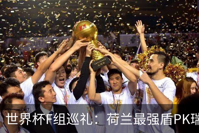 世界杯F组巡礼：荷兰最强盾PK瑞典犀利刀 日本短板明显